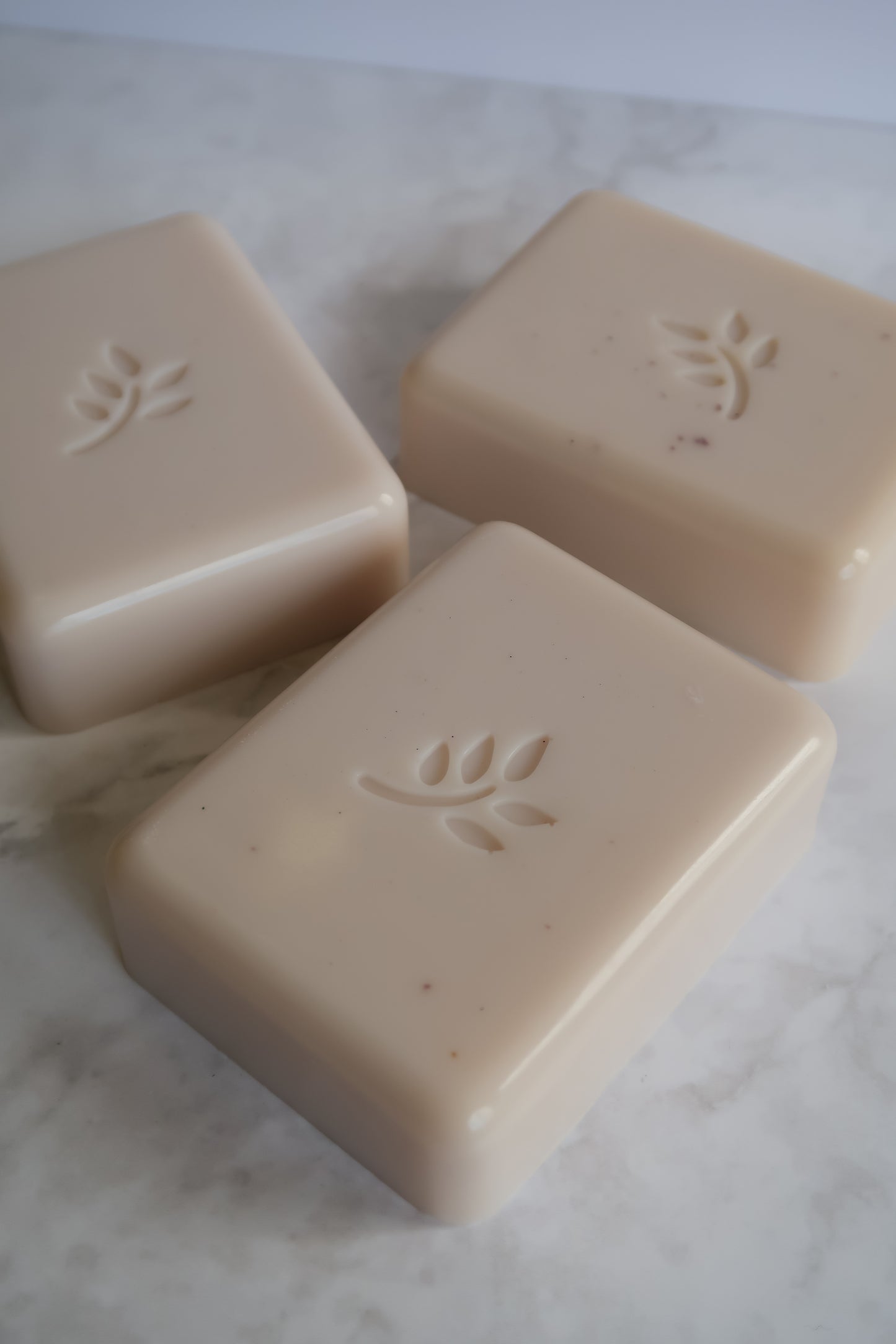 Morning Glory | Soap Bar with Organic Lavender, Organic Eucalyptus, and Cold Pressed Lemon Essential Oil
